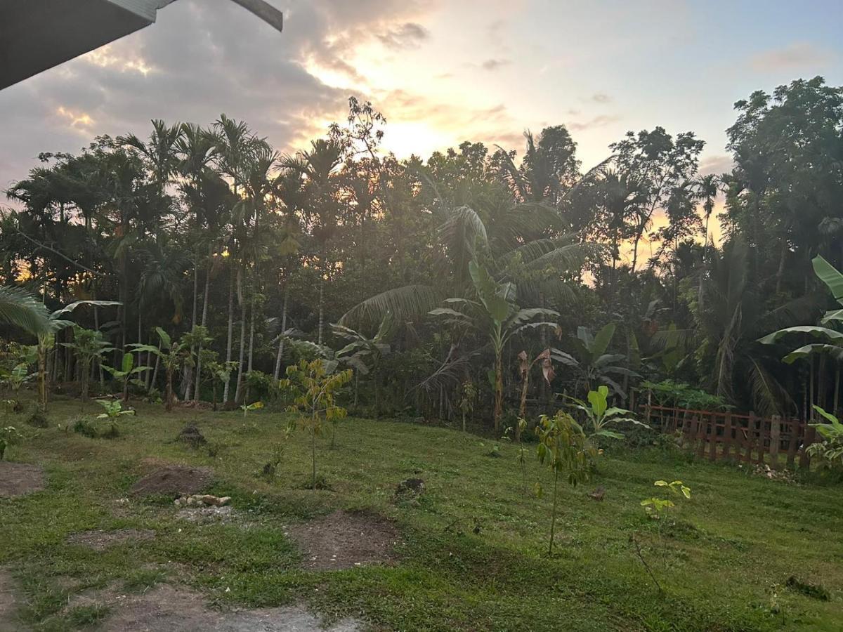 Senaru Garden Homestay Eksteriør billede